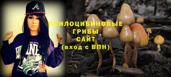 экстази Алексеевка