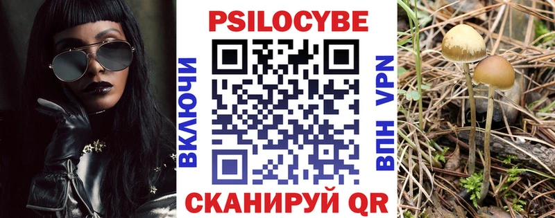 Галлюциногенные грибы MAGIC MUSHROOMS  Билибино 